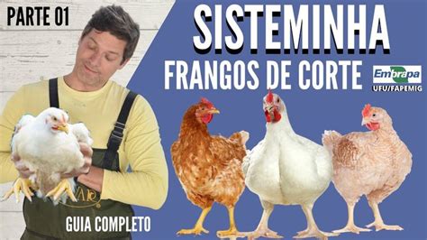 Frangos De Corte No Sisteminha Guia Completo Parte Frangos Voc