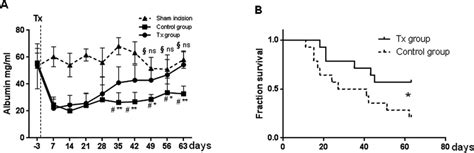 Analysis Of The Liver Function And Survival Rate After Transplantation