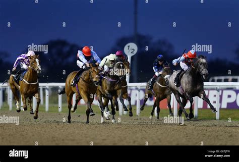 Chelmsford City Racecourse Stock Photo - Alamy