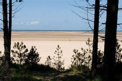 Dog walk at Holkham Beach, North Norfolk · Norfolk · Walkiees