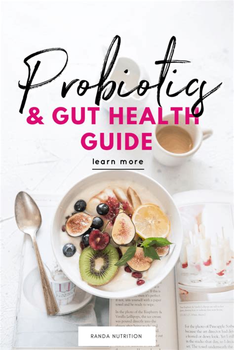 Your Quick Guide To Probiotics And Gut Health Randa Nutrition