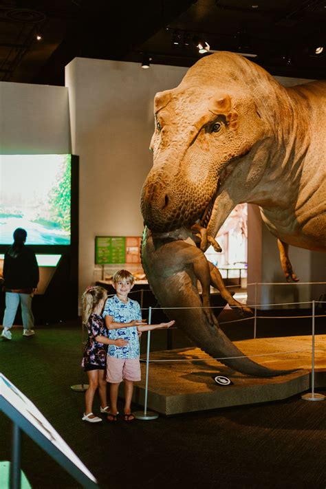 Exploring a Dinosaur Exhibit | Dinosaur museum, Dinosaur exhibition, Prehistoric animals