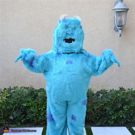 Homemade Sully Costume