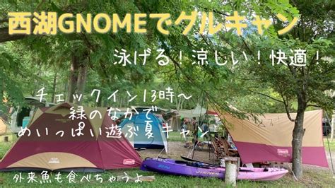 家族キャンプで捕って食う① 【西湖キャンプビレッジノーム】外来魚を釣って美味しくいただきます【ブラックバス、ブルーギルレシピ】 Youtube