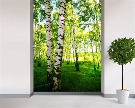 Birch Woodland Wallpaper Wall Mural Wallsauce Uk