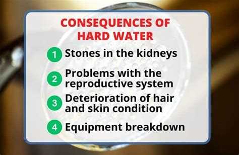 Pros and Cons of Water Softeners: Are They Worth It?