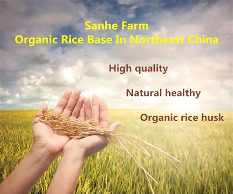 Amazon New Biodegradable Organic Rice Husk Fiber Anti Mildew Cutting