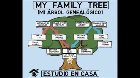 Descubre el árbol genealógico de Picasso su legado familiar