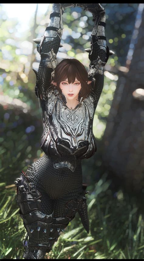 Looking For This Armor Request And Find Skyrim Special Edition Loverslab