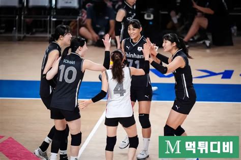 한국 여자배구 네덜란드에 완패vnl 2승·승점 6으로 마감