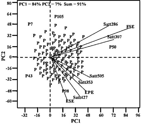 Gt Biplot Analysis For Relationship Among Selected Markers And