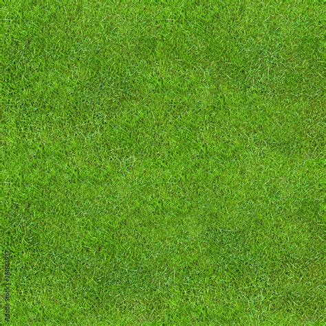 Seamless Green Lush Grass Texture Stock Photo Adobe Stock