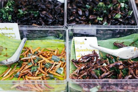 Premium Photo | Fried food insects exotic cooked insect snacks on ...