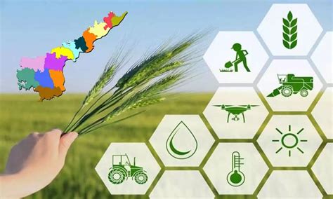 Andhra Pradesh Tops In Utilisation Of Agriculture Infrastructure Funds