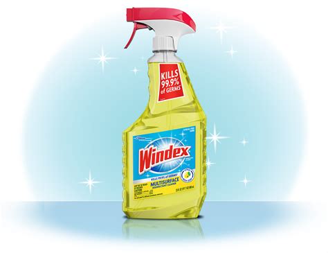 Disinfectant Cleaner Multi-Surface – Windex® – SC Johnson