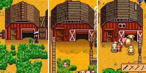 Stardew Valley: Everything You Need To Know About Barns And Barn Animals