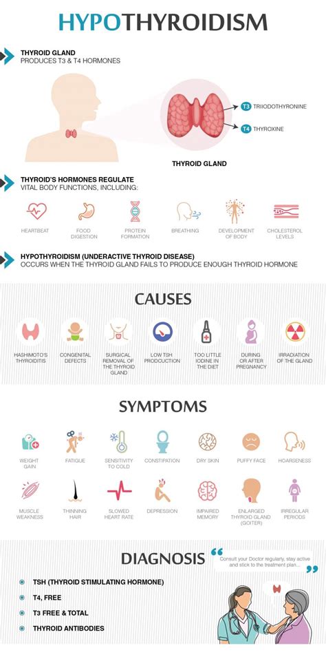 Understanding Hypothyroidism - Its Symptoms and Diagnosis