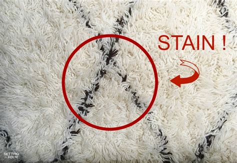 Incredible Wool Carpet Stain Remover & Cleaning Tip - Setting For Four ...