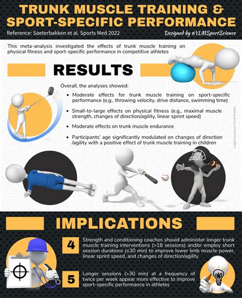 Trunk Muscle Training And Sport Specific Performance Ylmsportscience