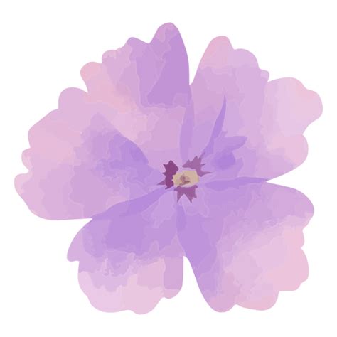 Dise O Png Y Svg De Flor De Acuarela Rosa Y Morada Para Camisetas