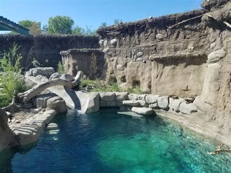 ABQ BioPark Aquarium, North American River Otter Exhibit | Bridgers ...