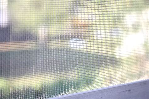 window screen  public domain