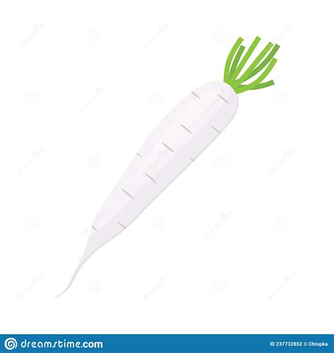 White Daikon Radish Vegetable Icon Stock Vector Illustration Of