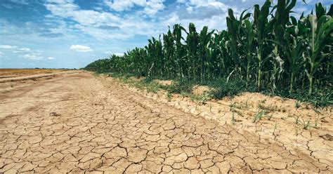 Il Cambiamento Climatico Porter Siccit E Ondate Di Calore