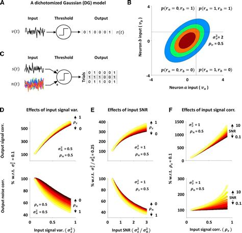 Nonlinear Transfer Of Signal And Noise Correlations In Cortical