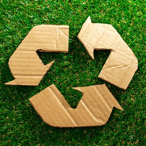 specialized services recycling program