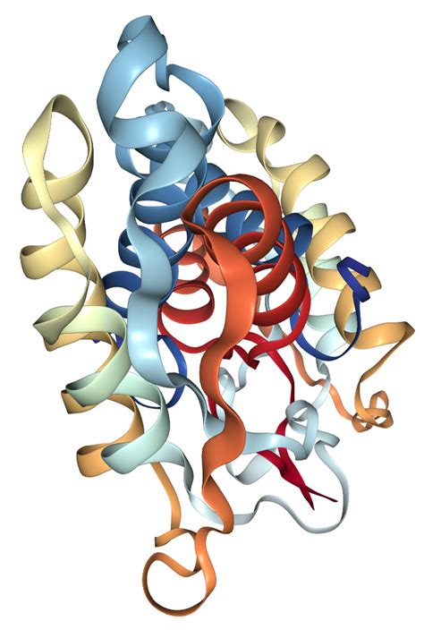 GM CSF CSF2 Protein Overview Sino Biological