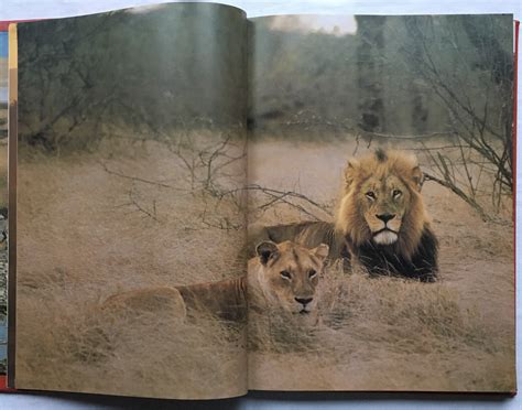 Portraits of the African Wild by Gerald Cubitt: (1986) First Edition ...