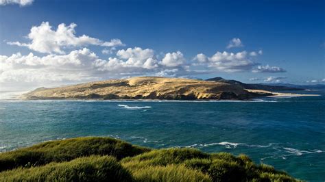 Hokianga Harbour (New Zealand) - backiee