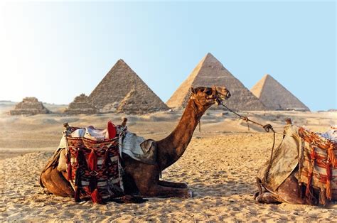 Memphis Tours Egypt Tours - All Tours & Trips in 2020/2021 - TourRadar