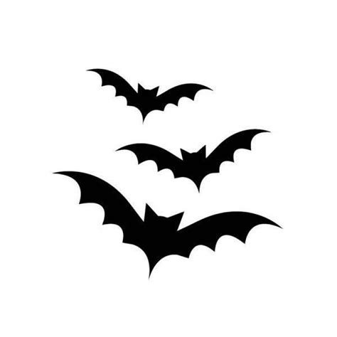 Two Bats Flying In The Air