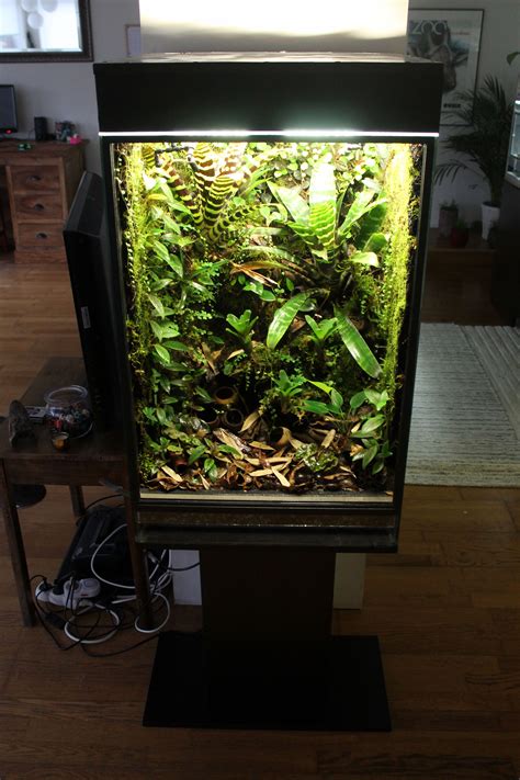 Pin By Dani On Terrarien Reptilien Tropical Fish Aquarium Vivarium