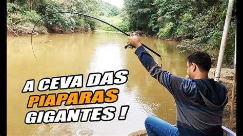 A CEVA TÁ QUAIADA DE PIAPARA GIGANTE PESCARIA RIO ATIBAIA YouTube