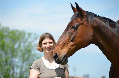 Pferdepraxis Dr Susanne Gschwender Fachtierärztin für Pferde München