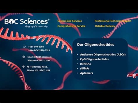 What Is Oligonucleotide Synthesis Phosphoramidite Method Boc