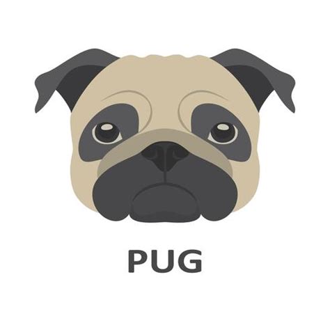 Vector illustration of pug in flat style. 616566 Vector Art at Vecteezy