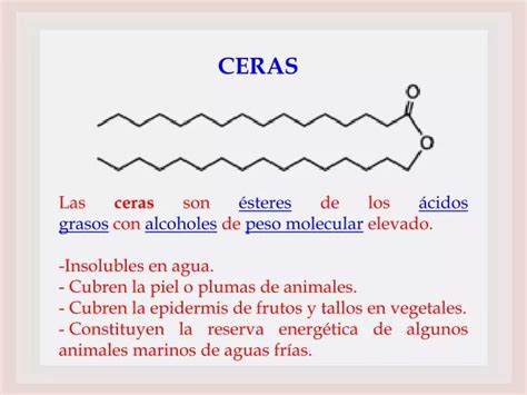 Ppt Las Ceras Son Steres De Los Cidos Grasos Con Alcoholes De Peso