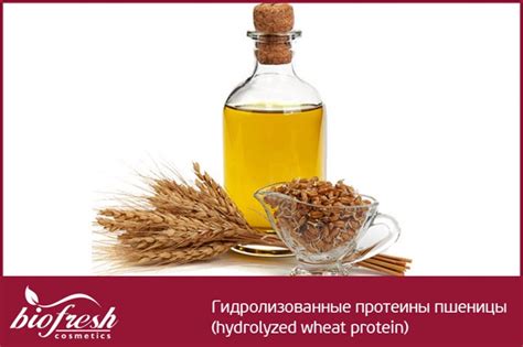 РАЗБИРАЕМСЯ В КОМПОНЕНТАХ КОСМЕТИКИ Hydrolyzed Wheat Protein ...