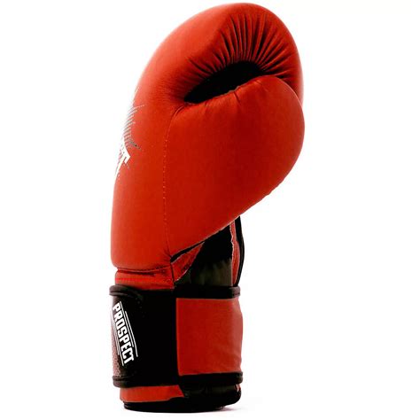 Everlast Youth Prospect Boxing Gloves Academy