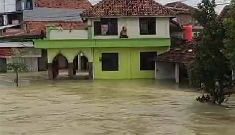 Demak Terendam Banjir Puluhan Ribu Jiwa Mengungsi Media Sadap 99