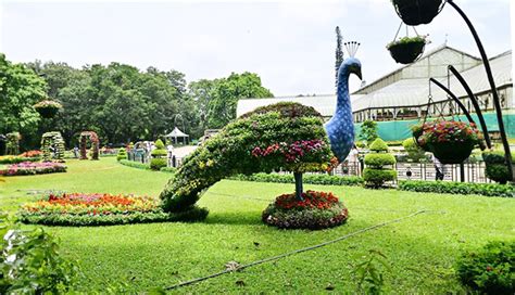 Lalbagh Flower Show January Dates Timings Theme Ticket Price Online