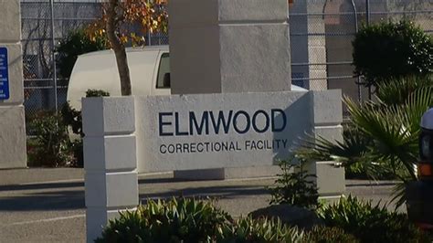 VIDEO: Drones possibly used to smuggle drugs into Elmwood Correctional ...