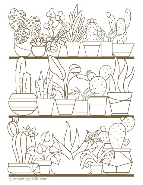 Free Printable Coloring Pages For Adults In Florals And Succulents A C Free Printable