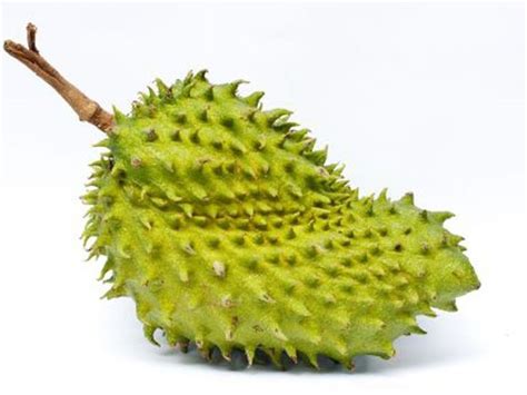 Soursop Tea Benefits How To Make And Side Effects Organic Facts Recipe Health Benefits