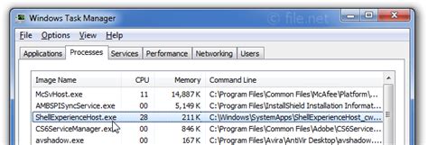 Shellexperiencehostexe Windows Process What Is It