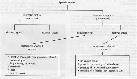 Ruptured Spleen - Physiopedia